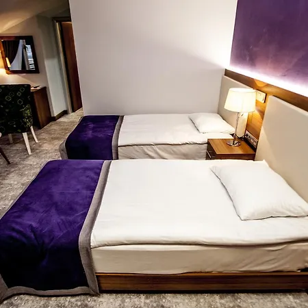 Business Hotel 3*