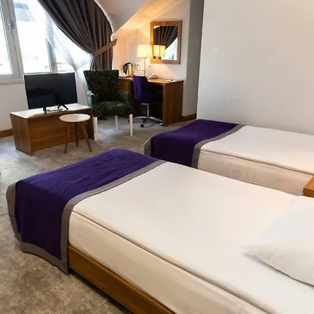 Business Hotel