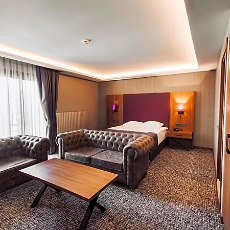 Hotel Business 3*